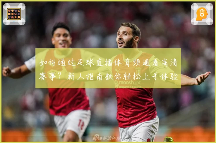 如何通过足球直播体育频道看高清赛事？新人指南教你轻松上手体验