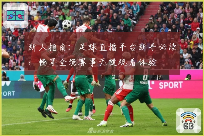 新人指南：足球直播平台新手必读，畅享全场赛事无缝观看体验