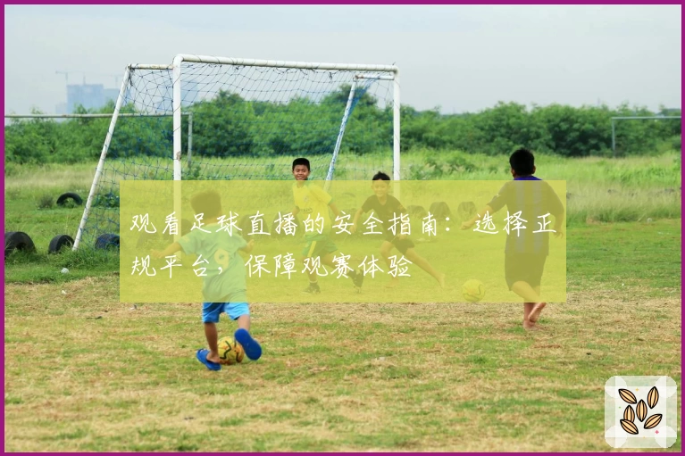 观看足球直播的安全指南：选择正规平台，保障观赛体验